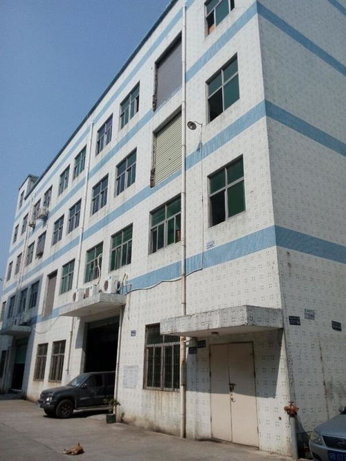 廣州市廠房結構安全檢測公司哪家正規？工程設計需重視專業檢測